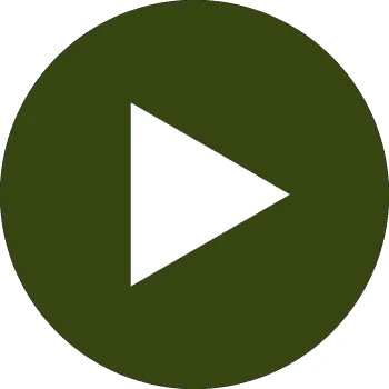 Play overview video